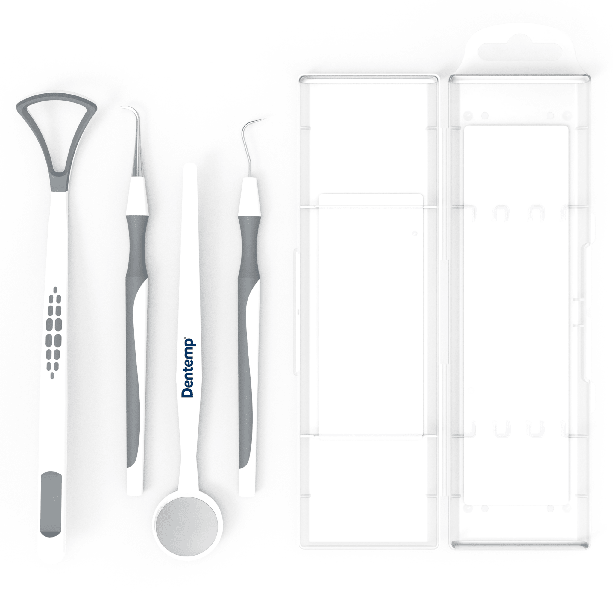 Dentemp Professional Oral Care Kit - Dentemp