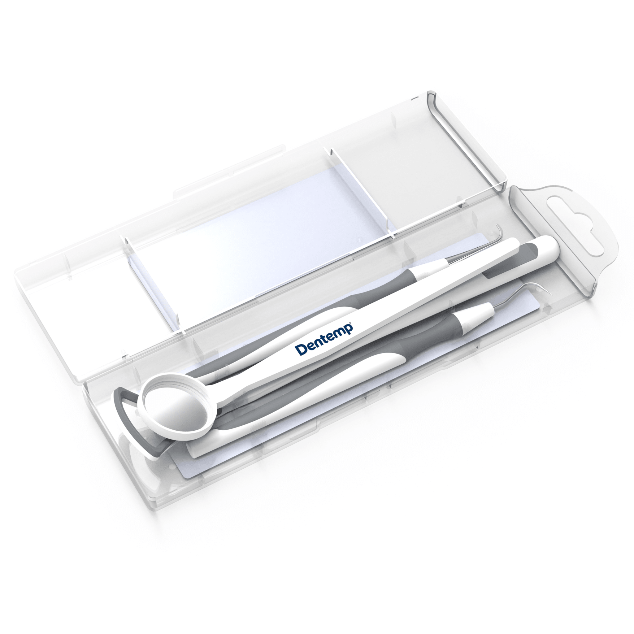 Dentemp Professional Oral Care Kit - Dentemp